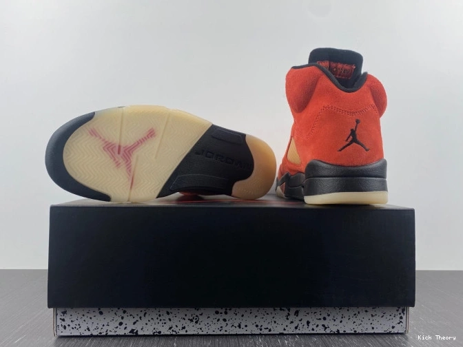 Kick Theory Mars Her 5 For Air WMNS DD9336-800 Jordan 0723